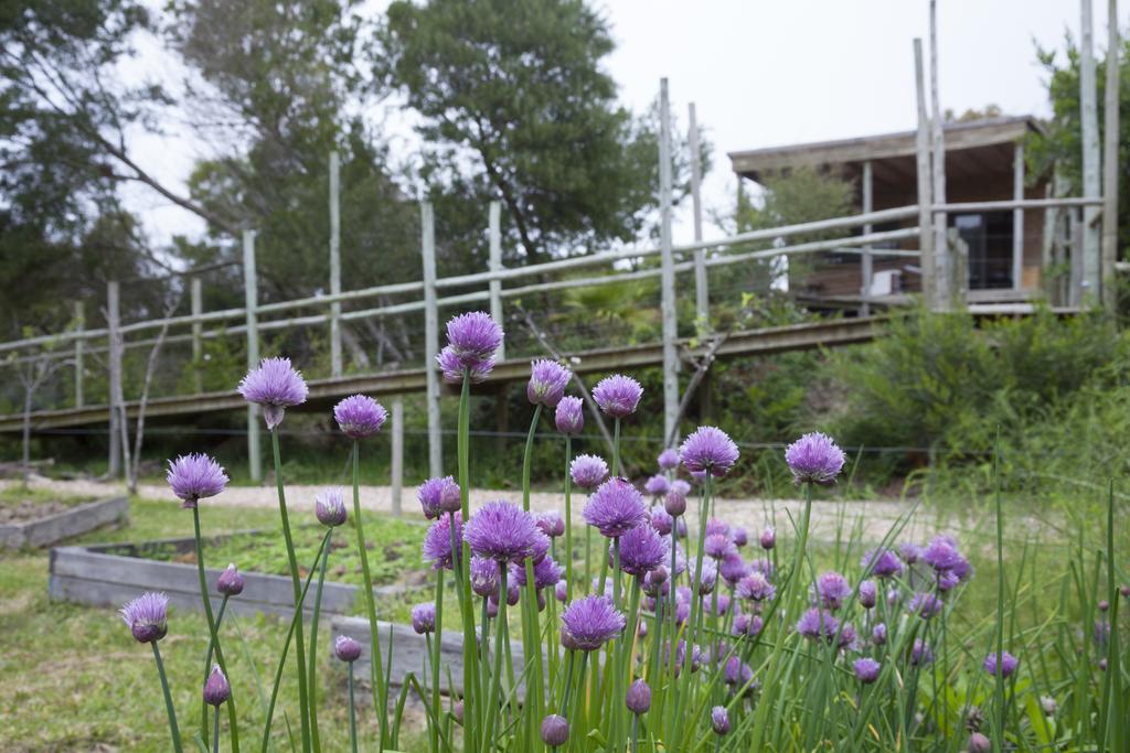 מלון לה פדררה Pueblo Barrancas מראה חיצוני תמונה